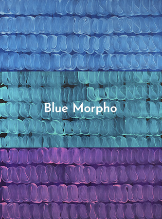 Blue Morpho